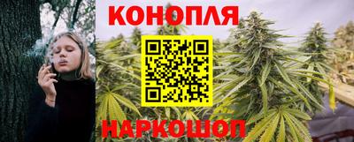 дмт Пенза