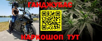 дмт Пенза