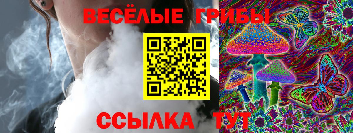 Топки  Галлюциногенные грибы Magic Shrooms  Вход с VPN 