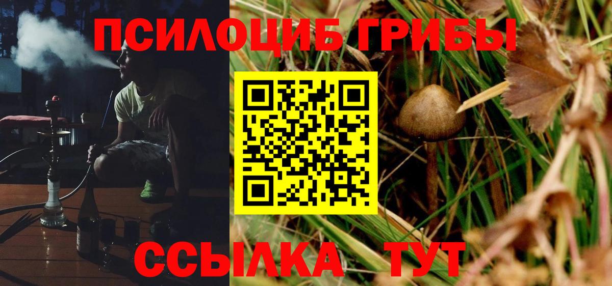 Псилоцибиновые грибы Psilocybine cubensis Топки